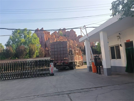 ����C�S�ң���ĥ�C�l������